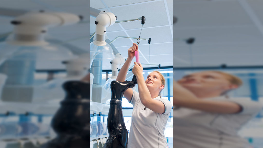 Heckert And Van Lierop Orthopedie Techniek: 09